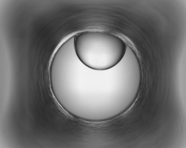 X0000087611192200704271055