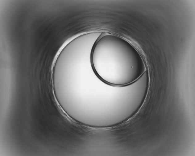 X0000087611200200704271055