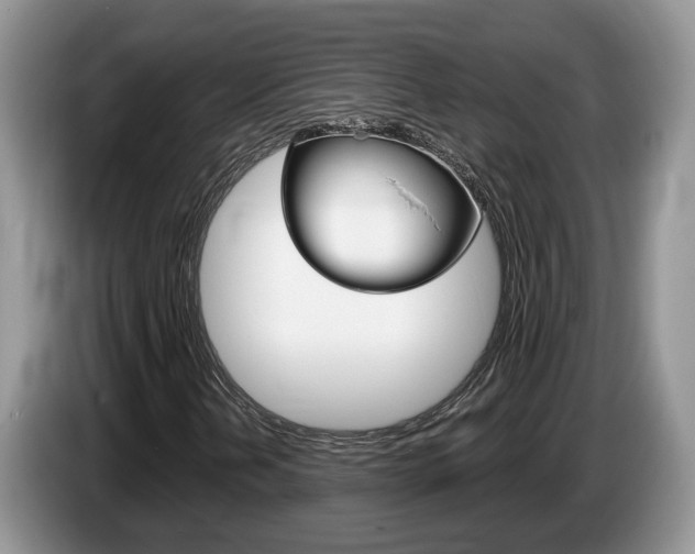 X0000087611202200704271055