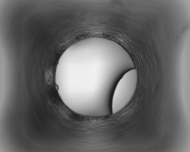 X0000087611203200704271055
