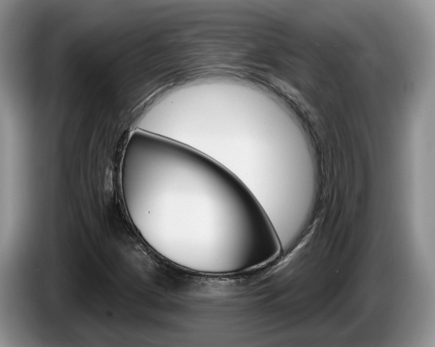 X0000087611209200704271055