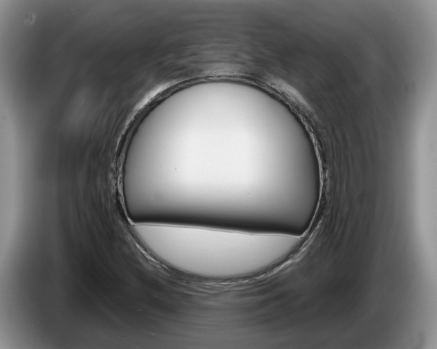 X0000087611212200704271055
