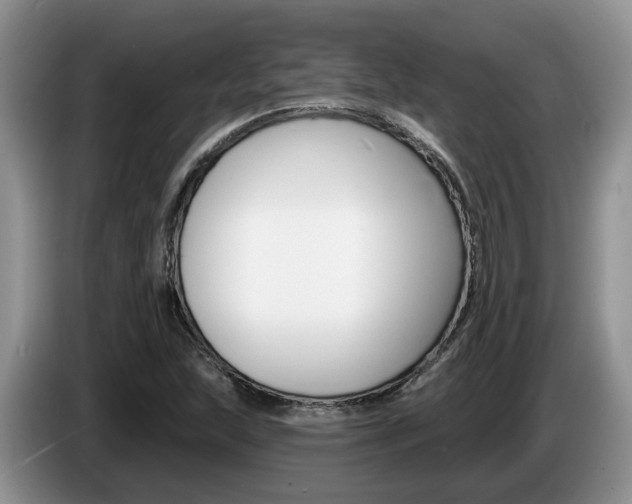 X0000087611215200704271055