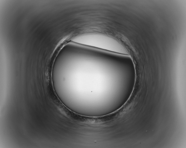 X0000087611218200704271055