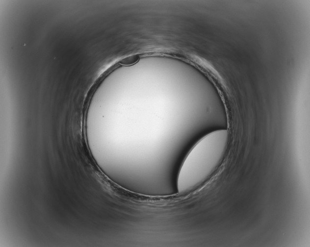 X0000087611220200704271055