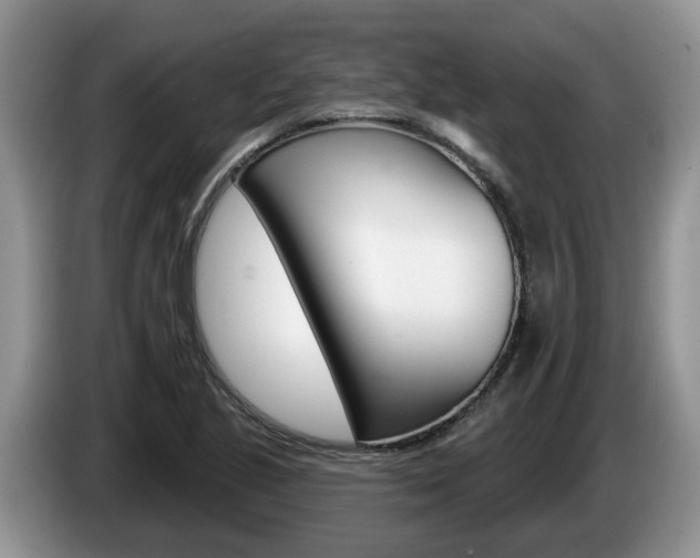 X0000087611221200704271055