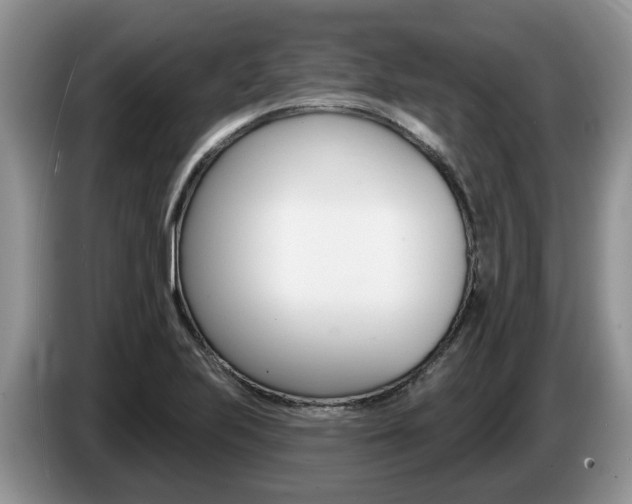 X0000087611223200704271055