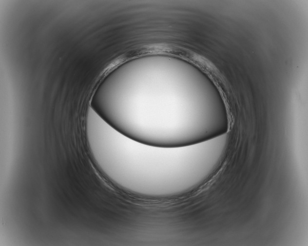X0000087611225200704271055