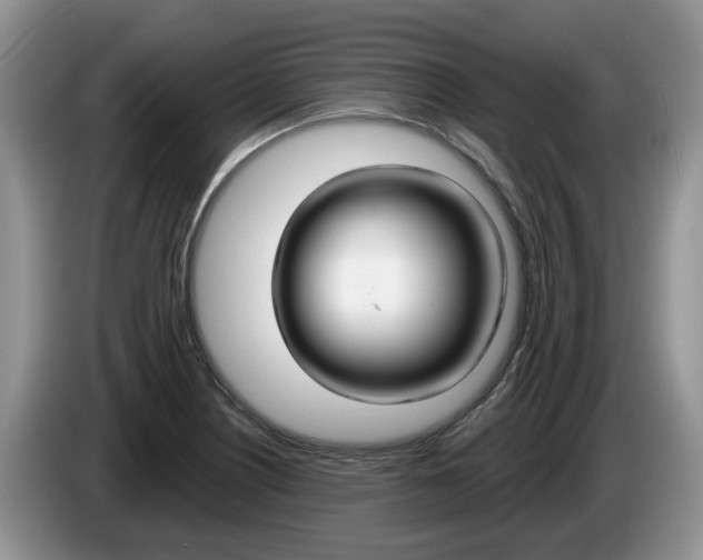 X0000087611226200704271055