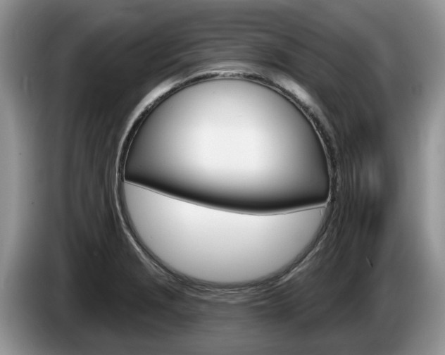 X0000087611229200704271055