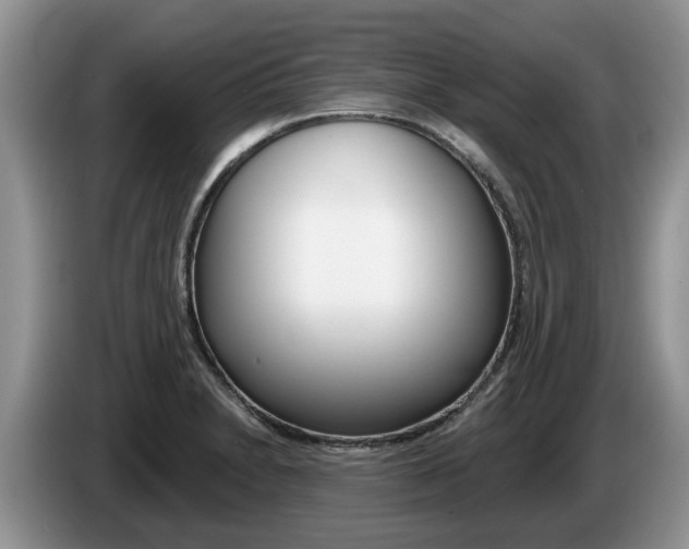 X0000087611230200704271055