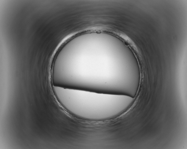 X0000087611232200704271055