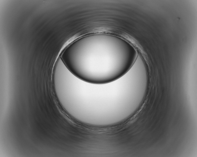 X0000087611234200704271055