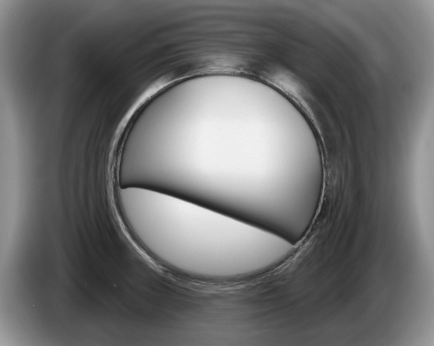 X0000087611235200704271055