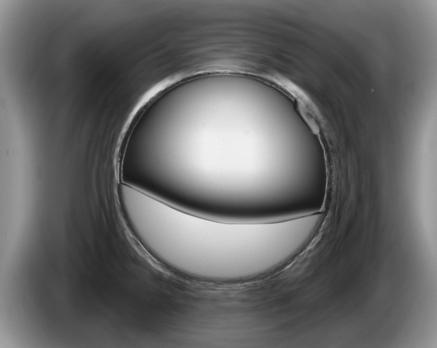 X0000087611238200704271055
