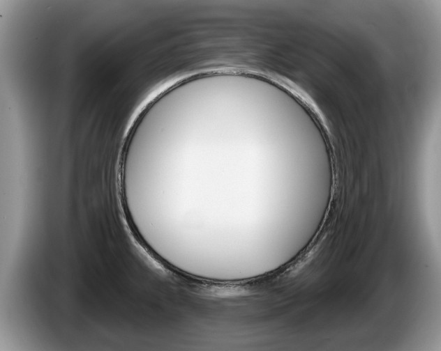 X0000087611239200704271055