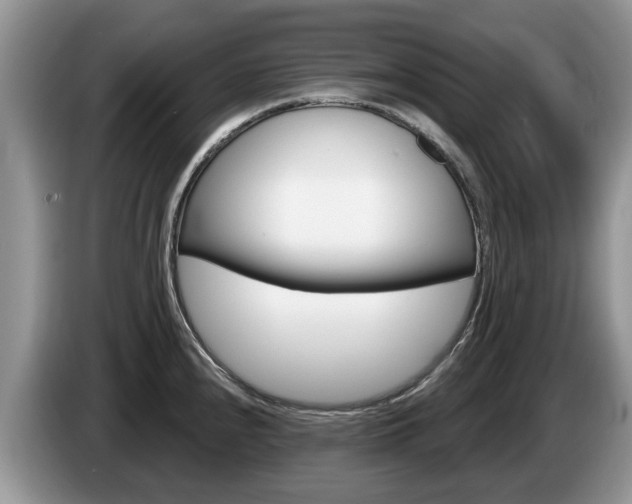 X0000087611240200704271055