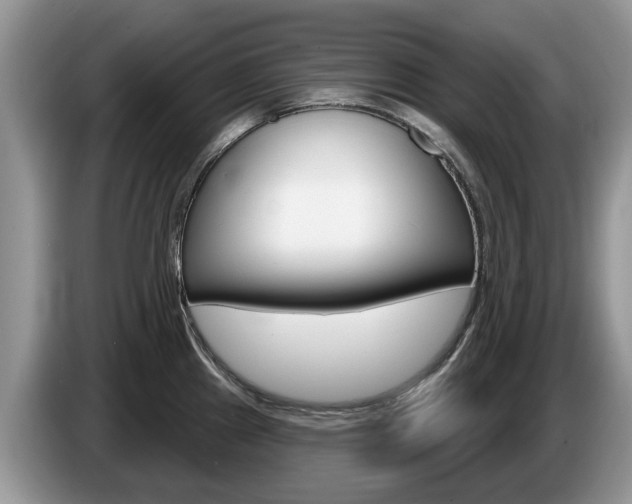 X0000087611241200704271055