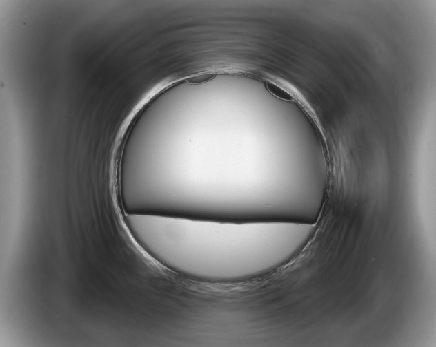 X0000087611243200704271055