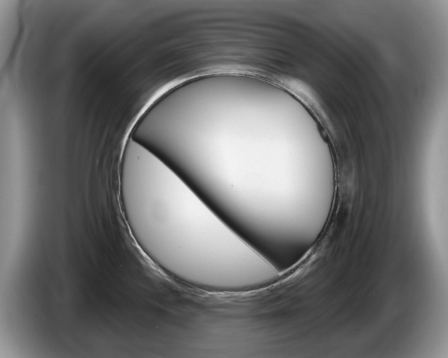 X0000087611244200704271055