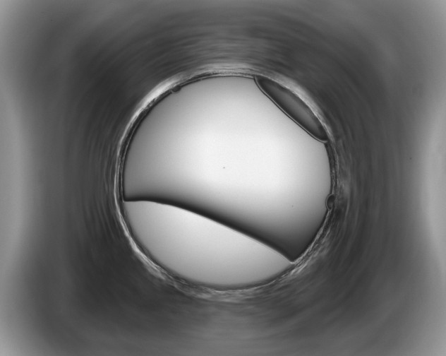 X0000087611245200704271055