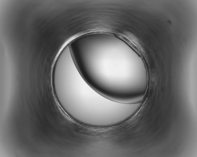 X0000087611246200704271055