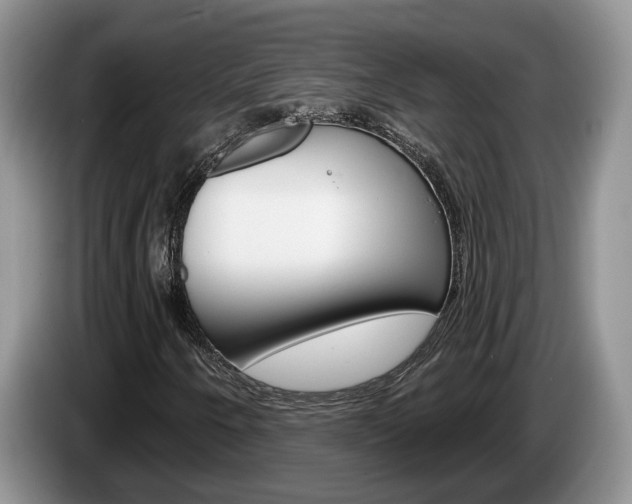 X0000087611250200704271055