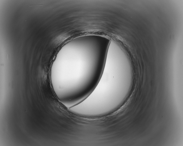 X0000087611257200704271054
