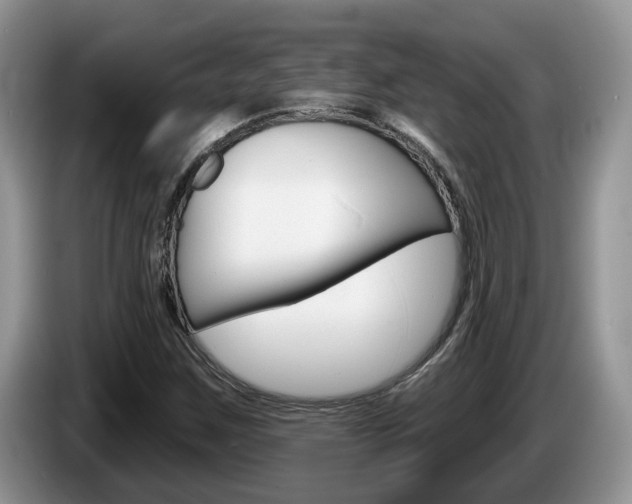 X0000087611259200704271054