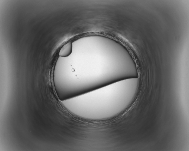 X0000087611262200704271054
