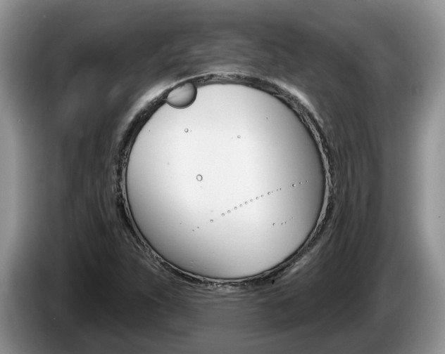 X0000087611263200704271054