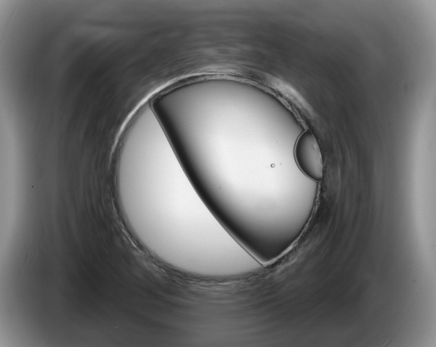 X0000087611268200704271054