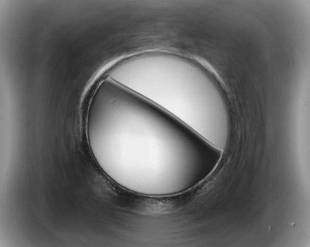X0000087611270200704271054