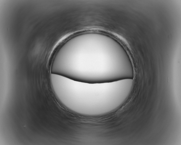 X0000087611271200704271054