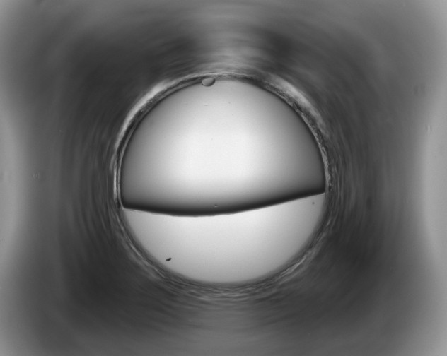 X0000087611275200704271054