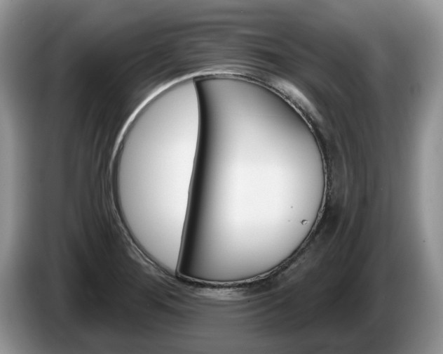 X0000087611276200704271054