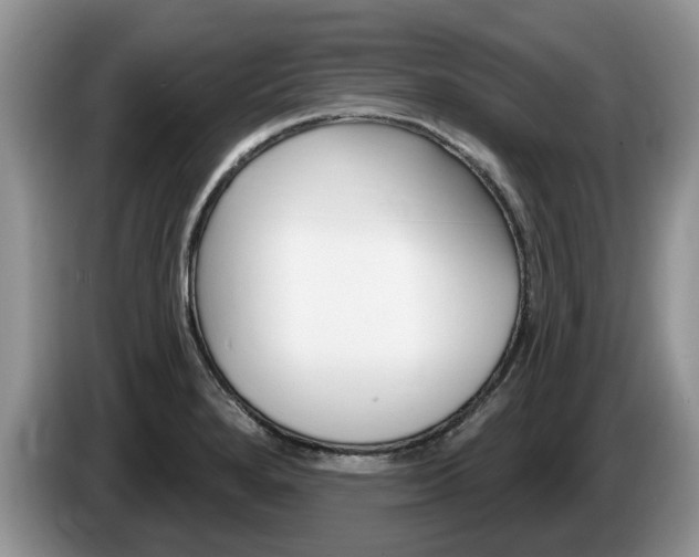 X0000087611280200704271054