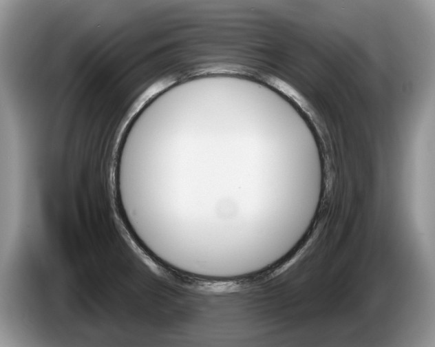 X0000087611282200704271054
