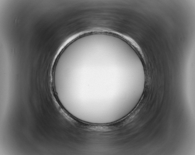 X0000087611287200704271054