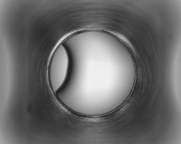 X0000087611288200704271054