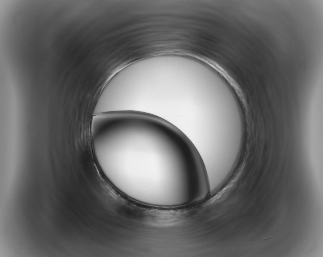 X0000087611289200704271054