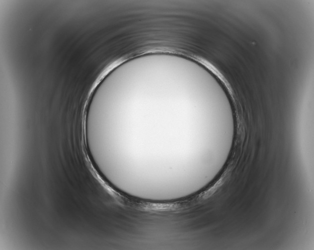 X0000087611290200704271054