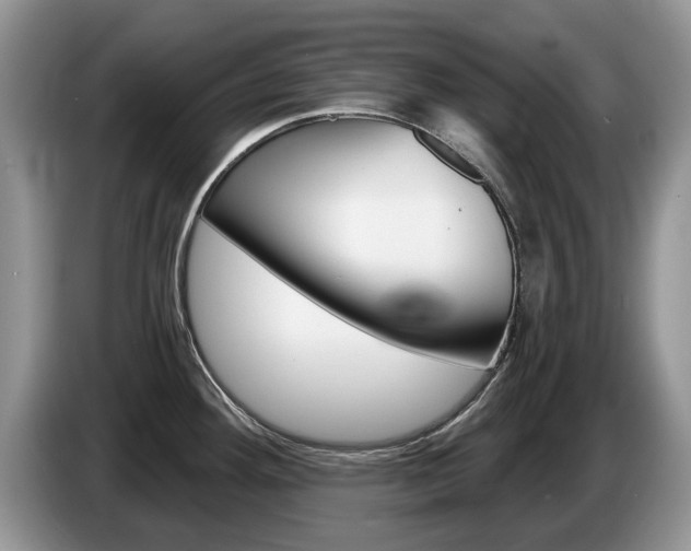 X0000087611292200704271054