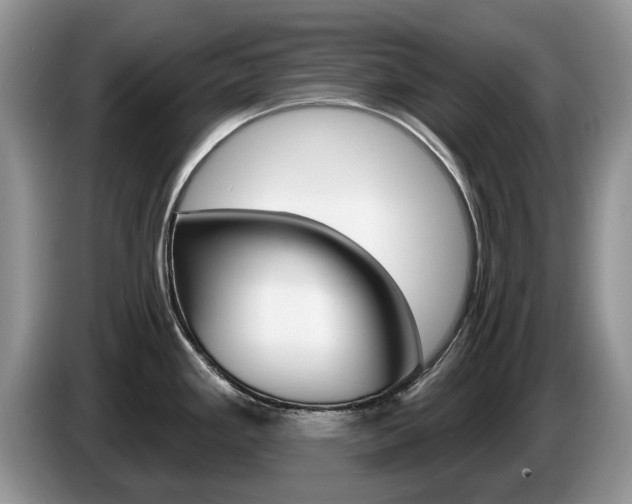X0000087611293200704271054