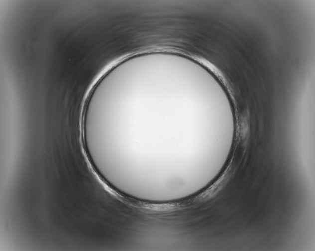 X0000087611294200704271054