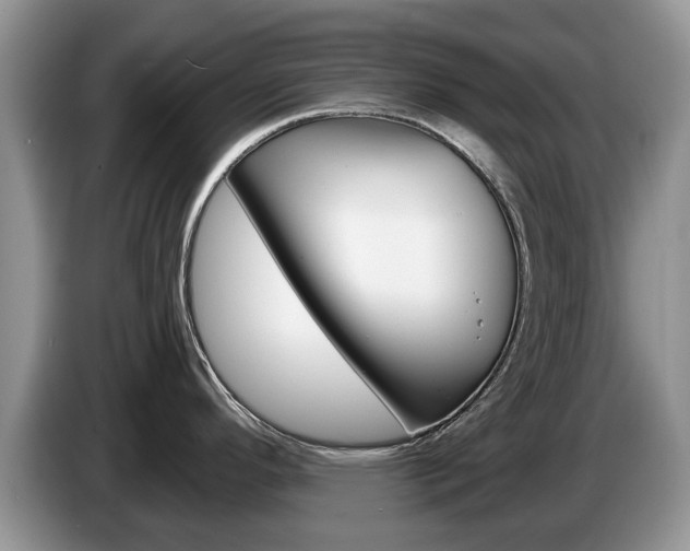 X0000087611296200704271054