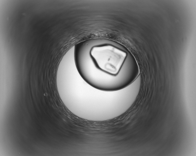 X0000087611298200704271053