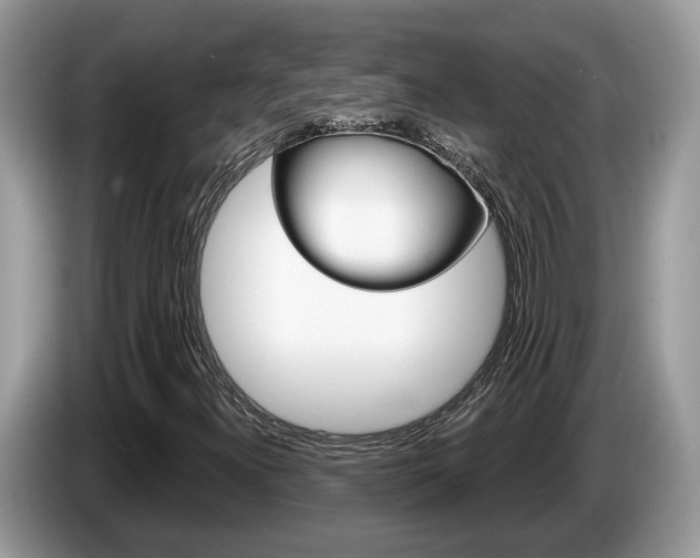 X0000087611300200704271053