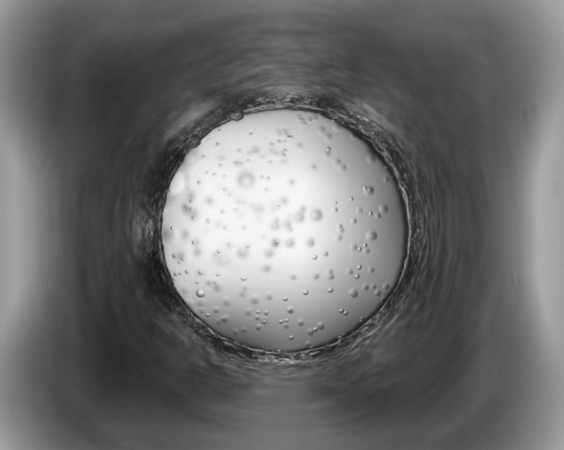 X0000087611302200704271054