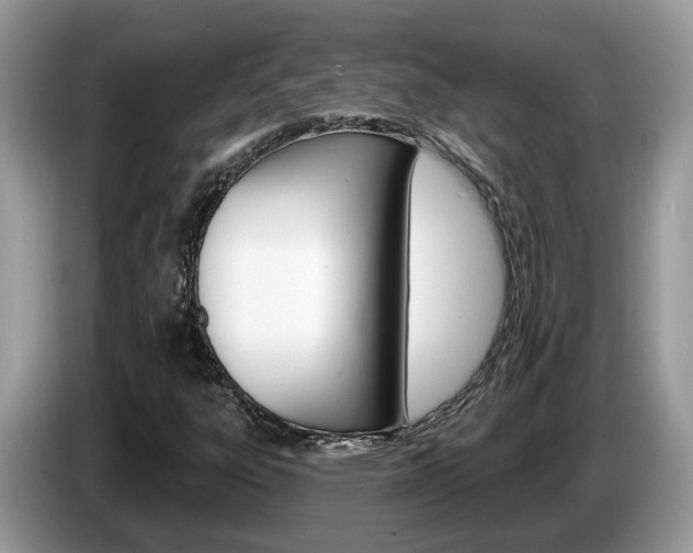 X0000087611303200704271054
